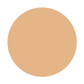 BB Crème Artist