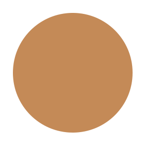 BB Crème Artist