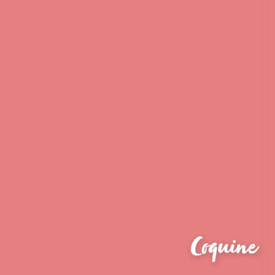 Velours à lèvres Artist