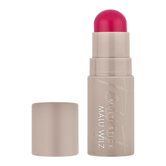 Bâton Multi Stick